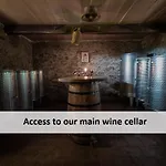 Vineyard Skatlar Počitniška hiša *