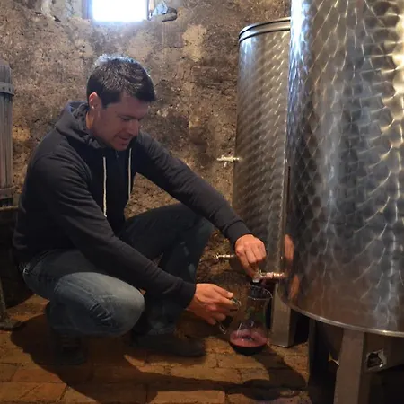 Vineyard Skatlar Vikendica *