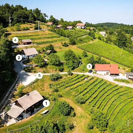 Vikendica Vineyard Skatlar