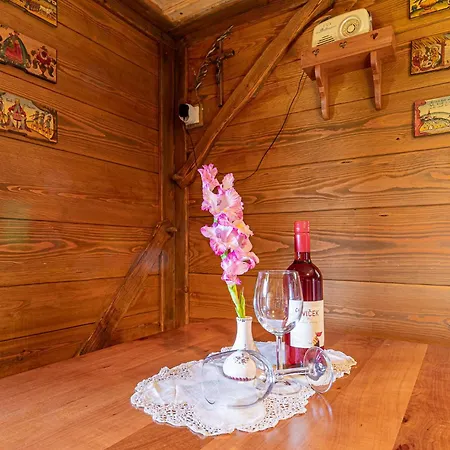 Vikendica Vineyard Skatlar