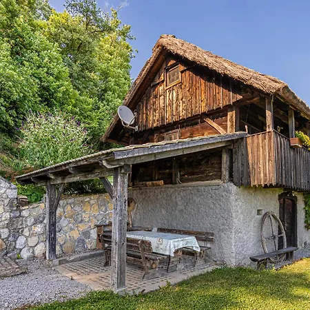 Casa vacanze Vineyard Skatlar Otočec