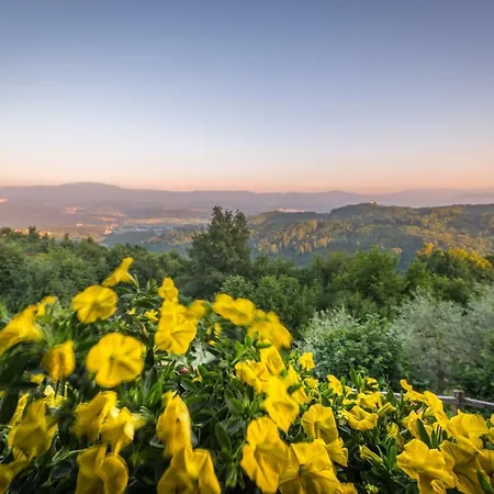 Vineyard Skatlar