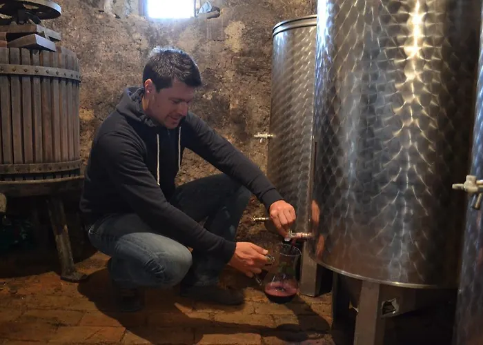 Vineyard Skatlar Casa vacanze *