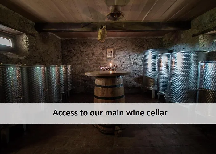 Vineyard Skatlar Casa vacanze *