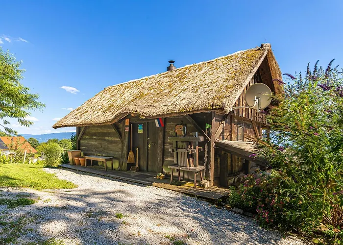Vineyard Skatlar Otočec