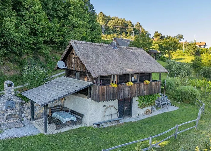 Vineyard Skatlar Casa vacanze Otočec